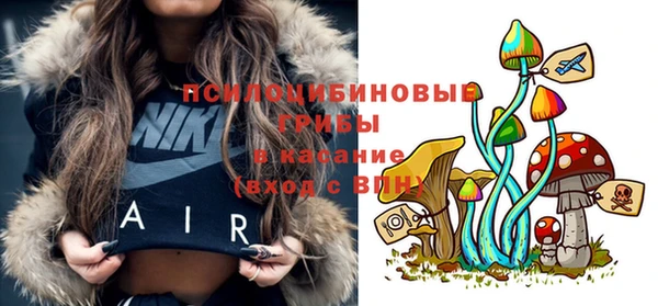 ALPHA-PVP Осинники