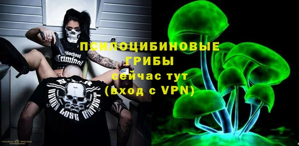 ALPHA-PVP Осинники