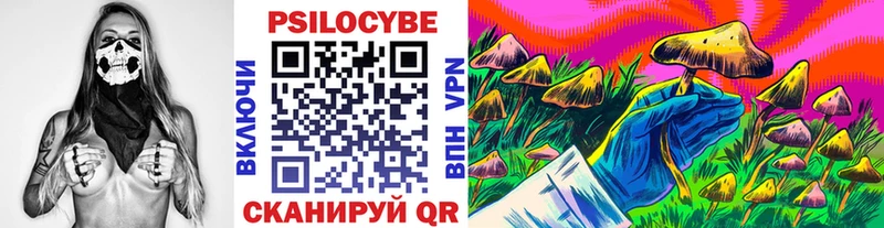 Галлюциногенные грибы GOLDEN TEACHER  Купить  Уварово 