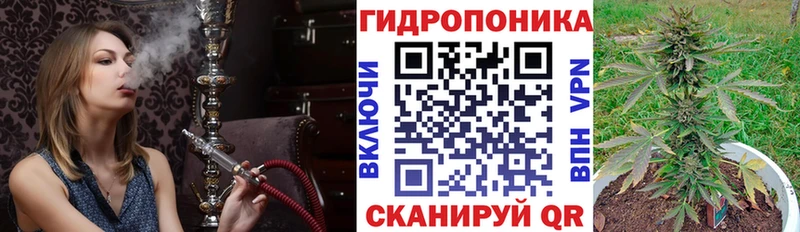 Бошки Шишки SATIVA & INDICA  Купить закладки  Уварово 